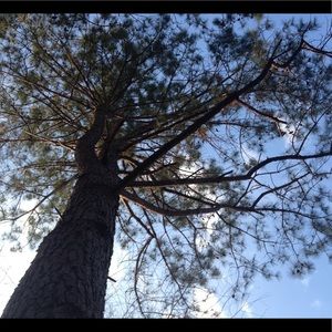 Meet your Posher, Cassie